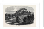 The Queen's Visit to Germany: Kallenberg Near Cobourg the Duke's Hunting Chateau 1862 by Anonymous