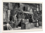 The International Exhibition: British Guiana and Barbadoes Courts 1862 by Anonymous