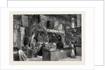 The International Exhibition: British Guiana and Barbadoes Courts 1862 by Anonymous