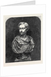 Marble Bust of His Royal Highness the Prince of Wales, the International Exhibition 1862 by Anonymous