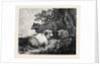 Sheep, in the International Exhibition 1862 by Anonymous