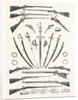 Small Arms in the International Exhibition 1862 by Anonymous