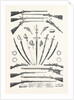 Small Arms in the International Exhibition 1862 by Anonymous
