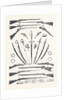 Small Arms in the International Exhibition 1862 by Anonymous