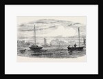 The Shellfish Supplies: Oyster-Boats Dredging Off Prestonpans 1862 by Anonymous