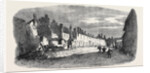 The Great Fire at Ottery St. Mary Devonshire: Ruins of Mill Street UK 1866 by Anonymous