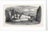 The Great Fire at Ottery St. Mary Devonshire: Ruins of Mill Street UK 1866 by Anonymous