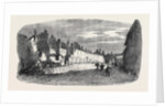 The Great Fire at Ottery St. Mary Devonshire: Ruins of Mill Street UK 1866 by Anonymous