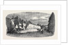 The Great Fire at Ottery St. Mary Devonshire: Ruins of Mill Street UK 1866 by Anonymous
