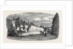 The Great Fire at Ottery St. Mary Devonshire: Ruins of Mill Street UK 1866 by Anonymous