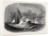 First Class Cutter Match of the Royal Thames Yacht Club: The Vindex and Christabel in Sea Reach 1866 by Anonymous