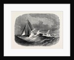 First Class Cutter Match of the Royal Thames Yacht Club: The Vindex and Christabel in Sea Reach 1866 by Anonymous