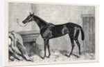 Tormentor the Winner of the Oaks 1866 by Anonymous