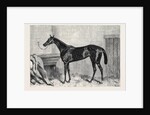 Tormentor the Winner of the Oaks 1866 by Anonymous