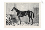 Tormentor the Winner of the Oaks 1866 by Anonymous