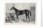 Tormentor the Winner of the Oaks 1866 by Anonymous