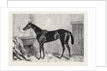 Tormentor the Winner of the Oaks 1866 by Anonymous