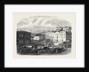 Morning Market at Port Elizabeth 1866 by Anonymous
