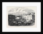 Morning Market at Port Elizabeth 1866 by Anonymous