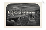 Dining Saloon of the Mahrusseh 1866 by Anonymous
