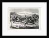 Salisbury Races: Start for the Wiltshire Stakes UK 1866 by Anonymous