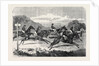 Salisbury Races: Start for the Wiltshire Stakes UK 1866 by Anonymous