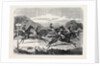 Salisbury Races: Start for the Wiltshire Stakes UK 1866 by Anonymous