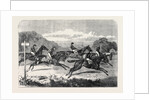 Salisbury Races: Start for the Wiltshire Stakes UK 1866 by Anonymous