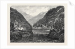 Wire Suspension Bridge Over the Fraser River British Columbia 1866 by Anonymous