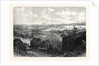 The Town and Harbour of St. John New Brunswick 1866 by Anonymous