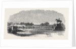 Inauguration of the Statue of Sir Mark Cubbon at Bangalore India 1866 by Anonymous