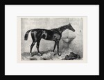 Mr. R. Sutton's Lord Lyon Winner of the Two Thousand Guinea Stakes at Newmarket UK 1866 by Anonymous