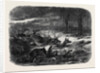 Animals Taking Refuge from a Prairie Fire by Anonymous