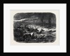 Animals Taking Refuge from a Prairie Fire by Anonymous