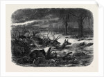 Animals Taking Refuge from a Prairie Fire by Anonymous