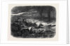 Animals Taking Refuge from a Prairie Fire by Anonymous