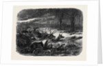 Animals Taking Refuge from a Prairie Fire by Anonymous