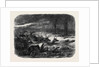 Animals Taking Refuge from a Prairie Fire by Anonymous