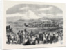 Native Games at Te Papa Camp Tauranga New Zealand: War Canoes Competing for Prizes 1866 by Anonymous