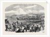 Native Games at Te Papa Camp Tauranga New Zealand: War Canoes Competing for Prizes 1866 by Anonymous
