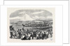 Native Games at Te Papa Camp Tauranga New Zealand: War Canoes Competing for Prizes 1866 by Anonymous