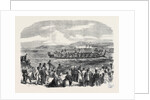 Native Games at Te Papa Camp Tauranga New Zealand: War Canoes Competing for Prizes 1866 by Anonymous