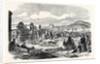 Ivory and Skins for Sale in the Grahamstown Market Cape Colony 1866 by Anonymous