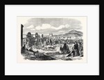 Ivory and Skins for Sale in the Grahamstown Market Cape Colony 1866 by Anonymous