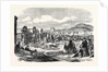 Ivory and Skins for Sale in the Grahamstown Market Cape Colony 1866 by Anonymous