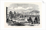 Ivory and Skins for Sale in the Grahamstown Market Cape Colony 1866 by Anonymous