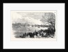 The Oxford and Cambridge University Boat Race: Passing the Crab Tree UK 1866 by Anonymous