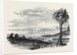 City of Tunis by Anonymous
