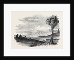 City of Tunis by Anonymous