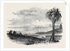 City of Tunis by Anonymous
